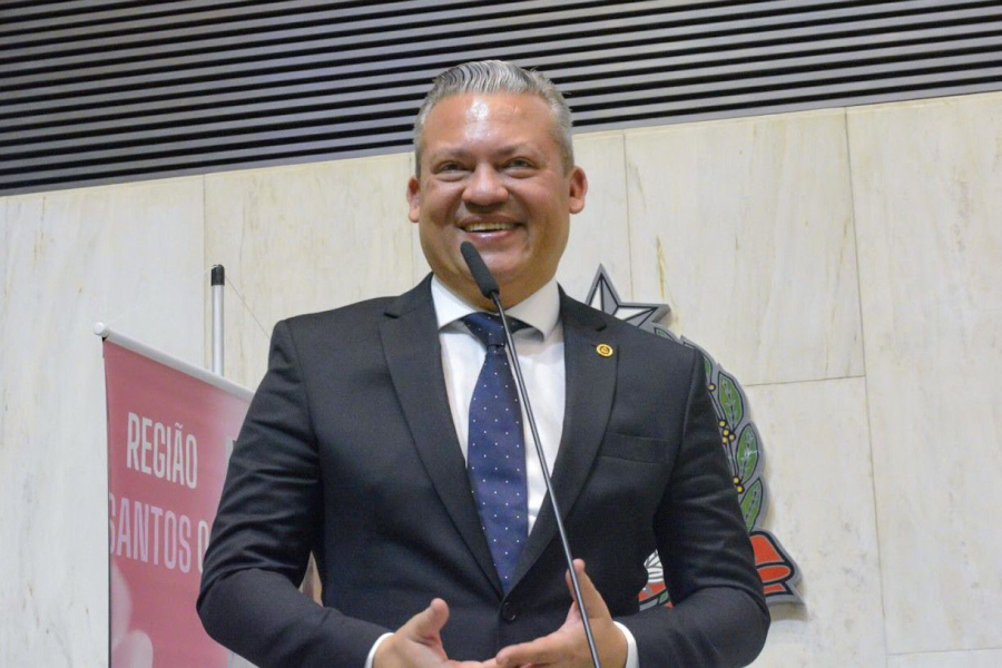 Do abrigo para o gramado: projeto de lei quer transformar a paixão pelo futebol em lares para cães resgatados